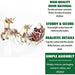 FFRS000-SC1-RD Holiday/Christmas/Christmas Outdoor Decor