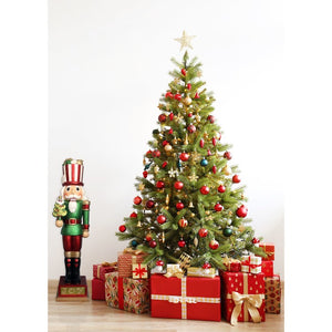 FFRS048-NC0-RD2 Holiday/Christmas/Christmas Outdoor Decor