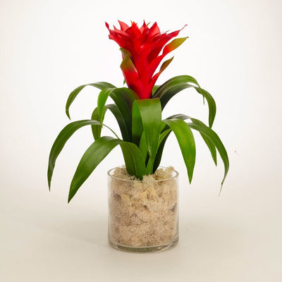 Product Image: F1418GR Decor/Faux Florals/Floral Arrangements