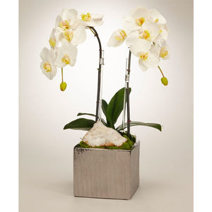 S1611SW Decor/Faux Florals/Floral Arrangements