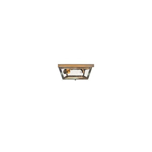 4204-AB-MED2-CSG Lighting/Ceiling Lights/Flush & Semi-Flush Lights