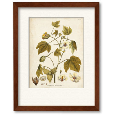 Product Image: WEB-BT117-16x20-FA Decor/Wall Art & Decor/Framed Art