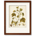 WEB-BT117-16x20-FA Decor/Wall Art & Decor/Framed Art