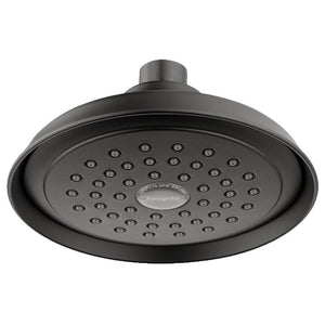 04780670 Bathroom/Bathroom Tub & Shower Faucets/Showerheads