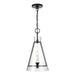 CP1081AI Lighting/Ceiling Lights/Pendants