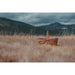 138-00-300-000-0 Outdoor/Outdoor Dining/Picnic Baskets