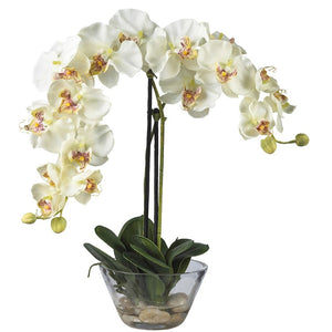 4643-WH Decor/Faux Florals/Plants & Trees