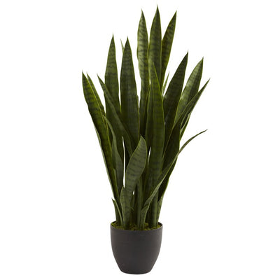 Product Image: 4855 Decor/Faux Florals/Plants & Trees