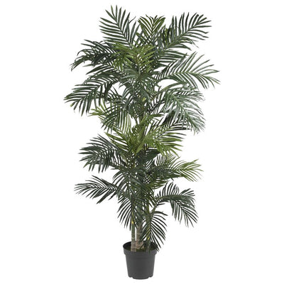 Product Image: 5289 Decor/Faux Florals/Plants & Trees