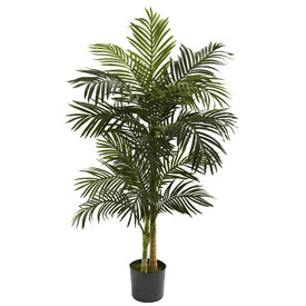 5' Golden Cane Palm Tree x 2 with 18 Leaves