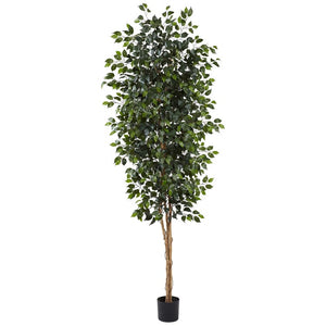 5427 Decor/Faux Florals/Plants & Trees