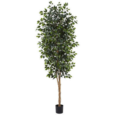 Product Image: 5427 Decor/Faux Florals/Plants & Trees