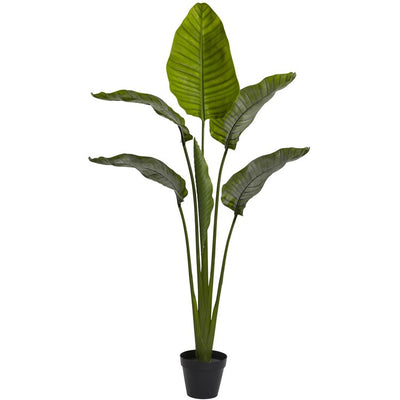 Product Image: 5445 Decor/Faux Florals/Plants & Trees