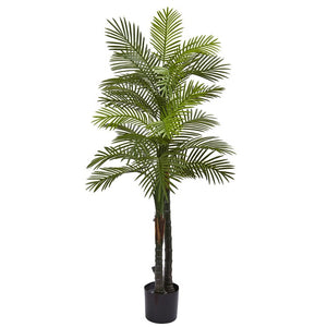 5479 Decor/Faux Florals/Plants & Trees