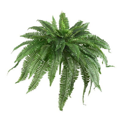 Product Image: 6051-S2 Decor/Faux Florals/Plants & Trees