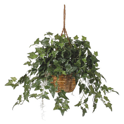 Product Image: 6507 Decor/Faux Florals/Plants & Trees