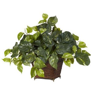 6704 Decor/Faux Florals/Plants & Trees
