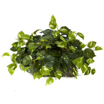 Product Image: 6708 Decor/Faux Florals/Plants & Trees
