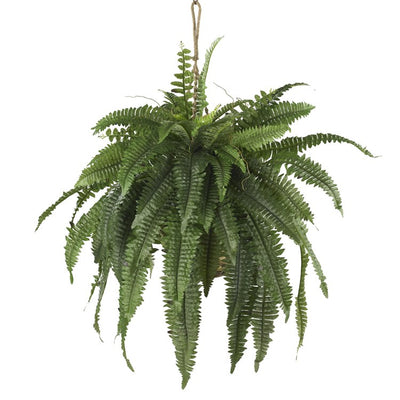 Product Image: 6774 Decor/Faux Florals/Plants & Trees