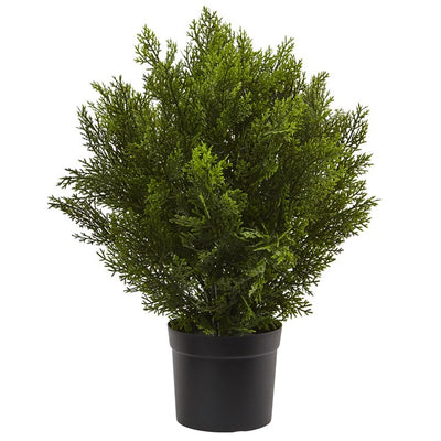 Product Image: 6880 Decor/Faux Florals/Plants & Trees