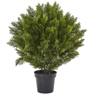 Product Image: 6881 Decor/Faux Florals/Plants & Trees