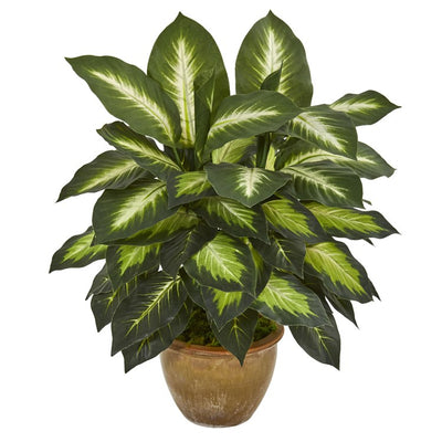 Product Image: 8051 Decor/Faux Florals/Plants & Trees