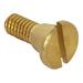 918555-0070A Parts & Maintenance/Bathroom Sink & Faucet Parts/Bathroom Sink Faucet Handles & Handle Parts