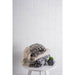 CAMZ38920 Decor/Decorative Accents/Throws
