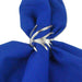 CAMZ32721 Dining & Entertaining/Table Linens/Napkins & Napkin Rings