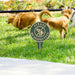 10597 Outdoor/Lawn & Garden/Garden Decor