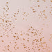 U1151800200001 Bathroom/Bathroom Accessories/Shower Curtains