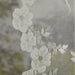K7006600084P09 Decor/Window Treatments/Curtains & Drapes