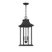 5-453-BK Lighting/Outdoor Lighting/Outdoor Pendants
