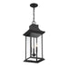 5-453-BK Lighting/Outdoor Lighting/Outdoor Pendants
