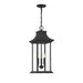 5-453-BK Lighting/Outdoor Lighting/Outdoor Pendants