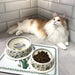 699151 Decor/Pet Accessories/Other Pet Accessories