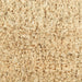 CAMZ35800 Holiday/Christmas/Christmas Outdoor Decor