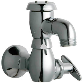 Washdown Faucet Wall Mount Vandal Proof 1 Tee Lever 5 Inch Spout Reach