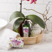 25100NO3 Bathroom/Bathroom Accessories/Soaps & Lotions