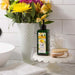 25101NO2 Bathroom/Bathroom Accessories/Soaps & Lotions
