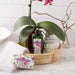 25101NO3 Bathroom/Bathroom Accessories/Soaps & Lotions