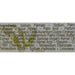 38100SO Bathroom/Bathroom Accessories/Soaps & Lotions