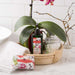 25101NO7 Bathroom/Bathroom Accessories/Soaps & Lotions