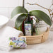 25101NO9 Bathroom/Bathroom Accessories/Soaps & Lotions