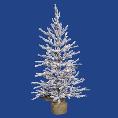 B165236 Holiday/Christmas/Christmas Trees