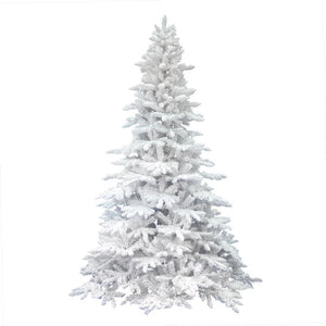 A893645 Holiday/Christmas/Christmas Trees