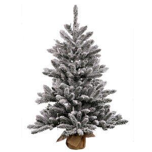 B160524 Holiday/Christmas/Christmas Trees