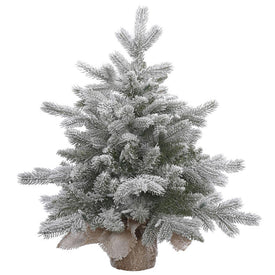 24" Unlit Frosted Sable Pine Artificial Christmas Tree without Lights