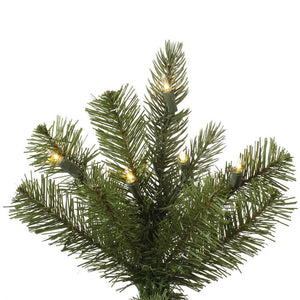 A145956 Holiday/Christmas/Christmas Trees