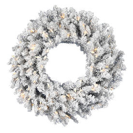 24" Pre-Lit Frosted Silver Wreath with 50 Warm White Dura-Lit LED Lights